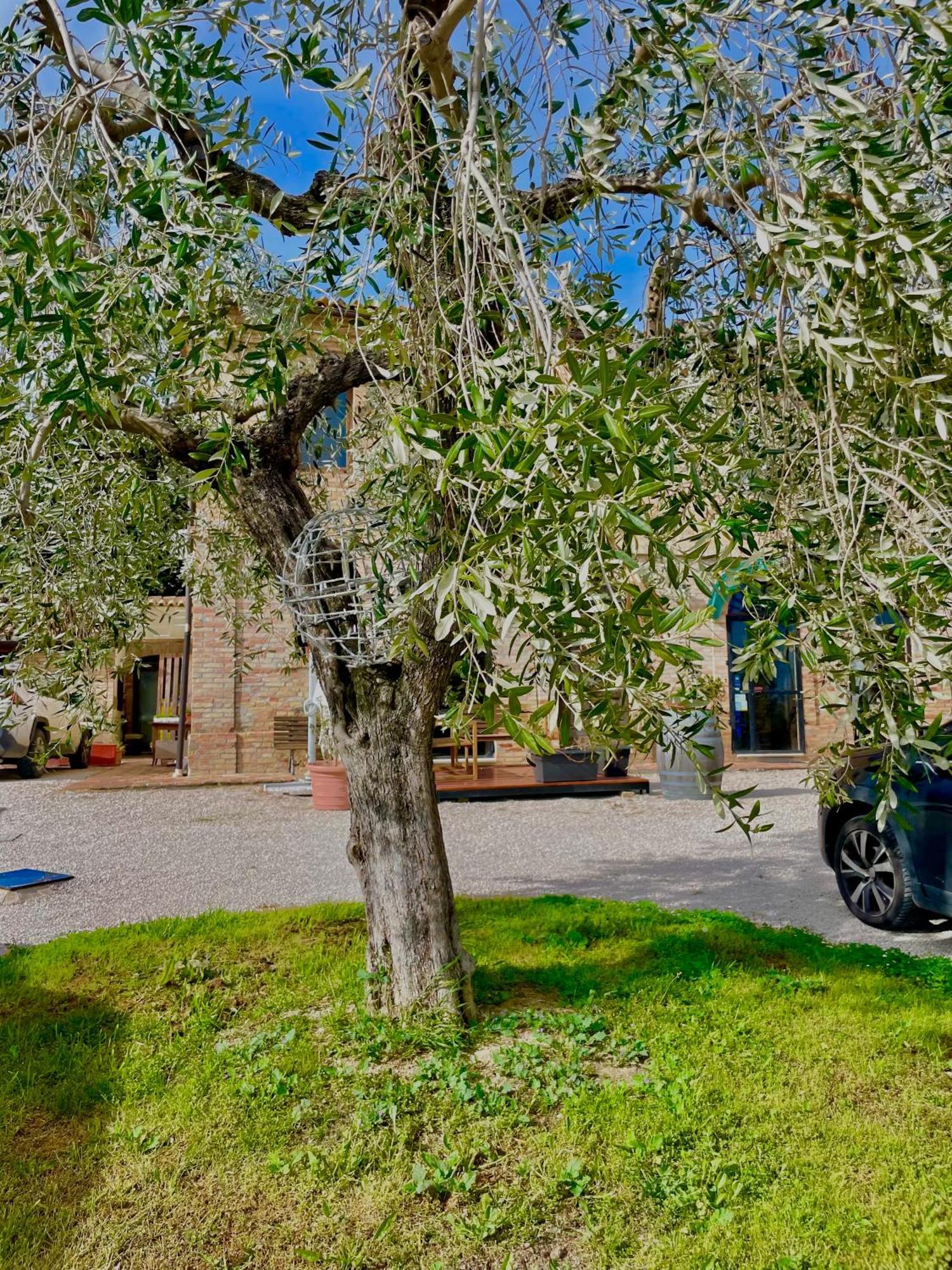 Masseria Tattoni - Residenza Di Campagna - Narramondo Villas Bellante Екстер'єр фото